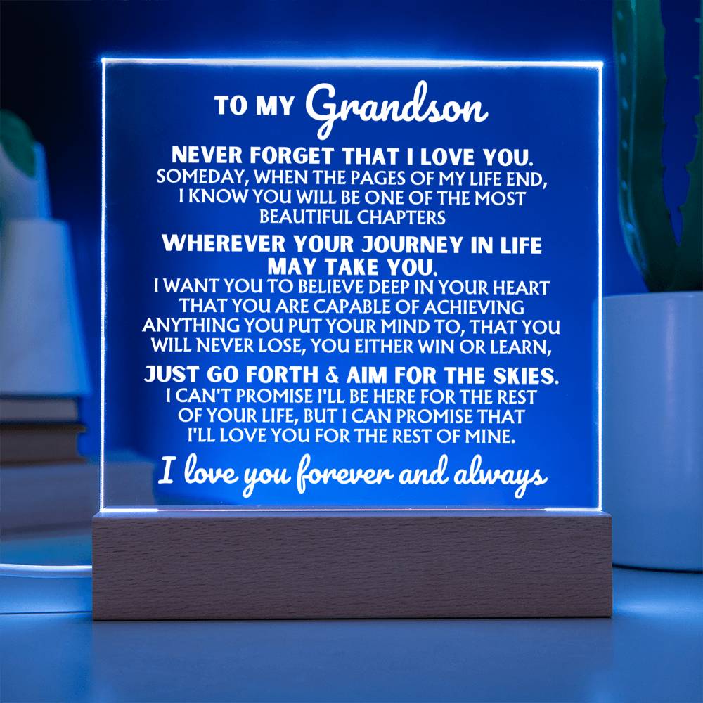 [ALMOST SOLD-OUT] To My Grandson  "I Love You Forever" | Acrylic Lamp ❤️ | AC47