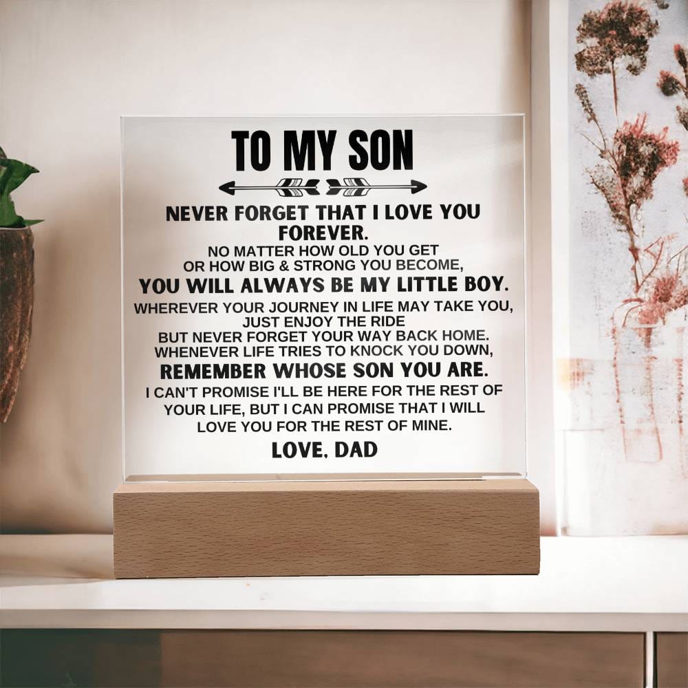To My Son | Love Dad | LED-Lit Acrylic Plaque - AC21