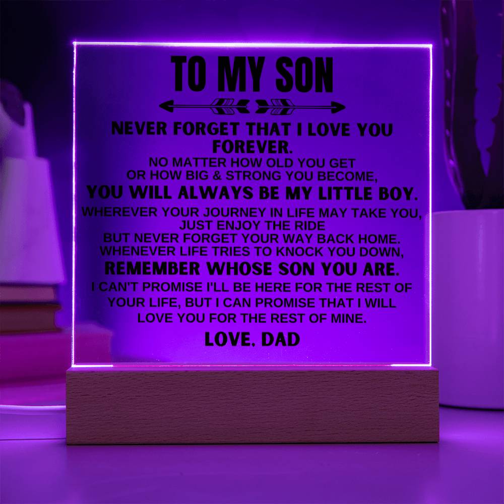 To My Son | Love Dad | LED-Lit Acrylic Plaque - AC21