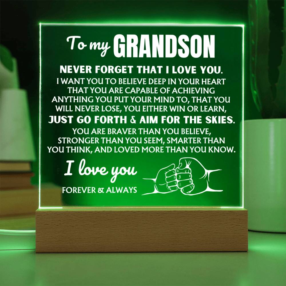To My Grandson  "You Will Never Lose" | Acrylic Lamp ❤️ AC48