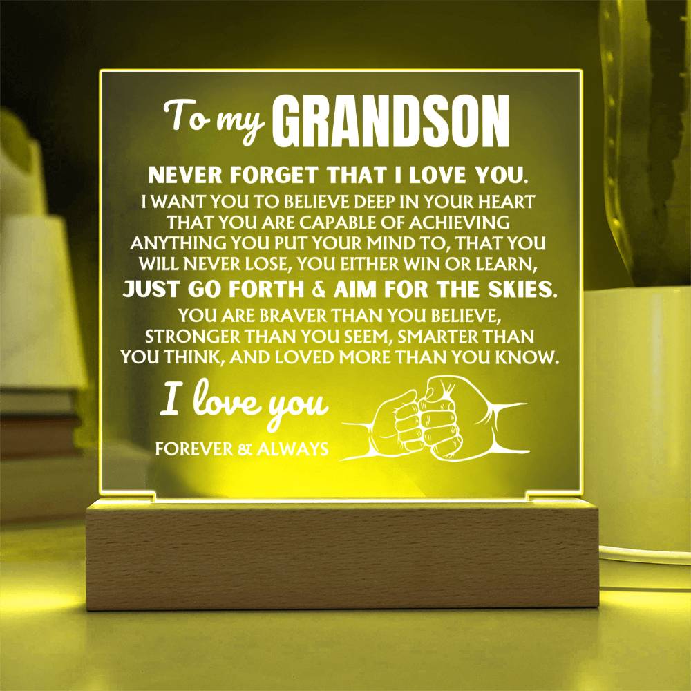 To My Grandson  "You Will Never Lose" | Acrylic Lamp ❤️ AC48