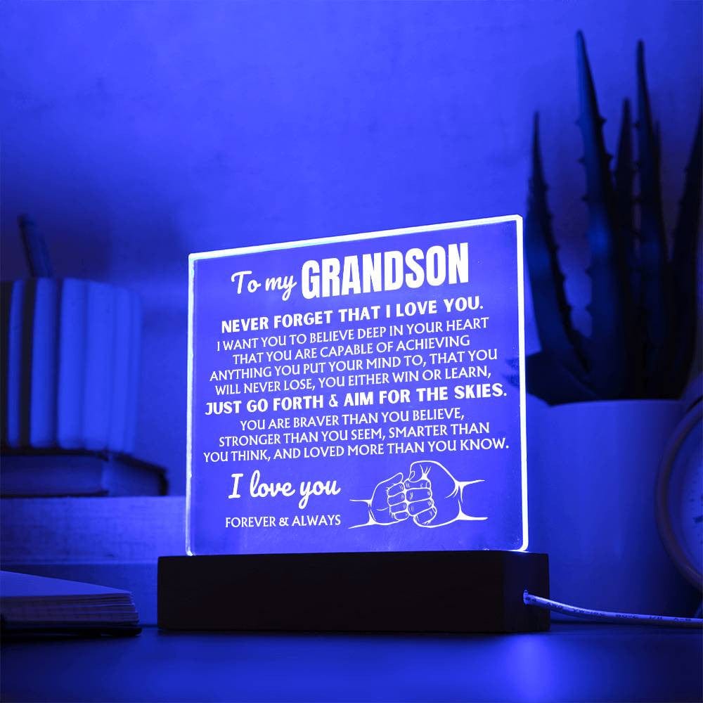 To My Grandson  "You Will Never Lose" | Acrylic Lamp ❤️ AC48