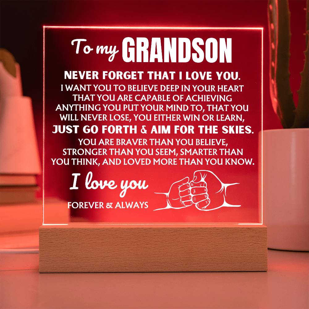 To My Grandson  "You Will Never Lose" | Acrylic Lamp ❤️ AC48