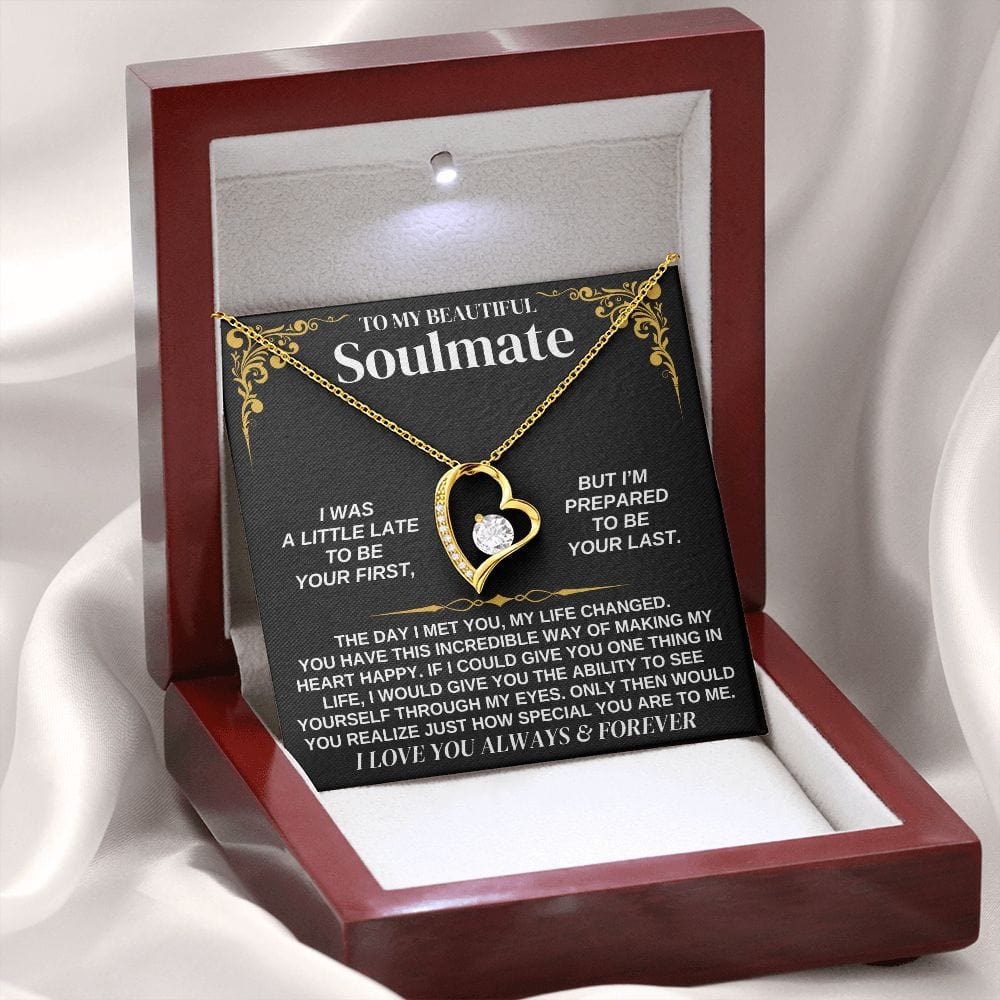 To My Soulmate - Forever Love Necklace Gift Set - SS338V2