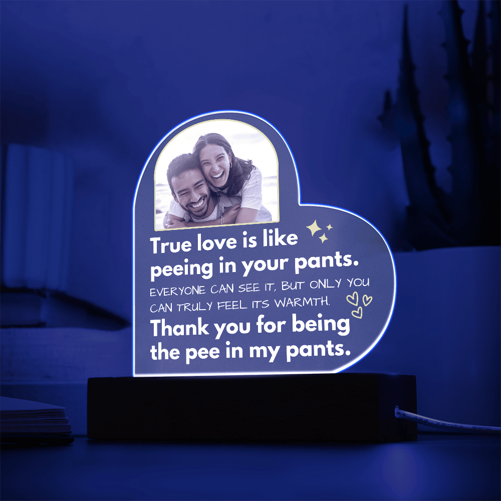 True Love Is Like Peeing In Your Pants - Custom Acrylic w/ LED Table Lamp - AC36v3